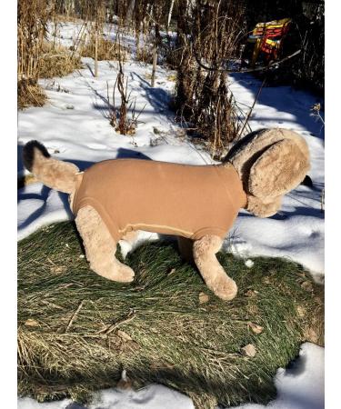 Dirgibor Popona-Bodi postoperative No. 6 - Buy Online on GoSupps.com