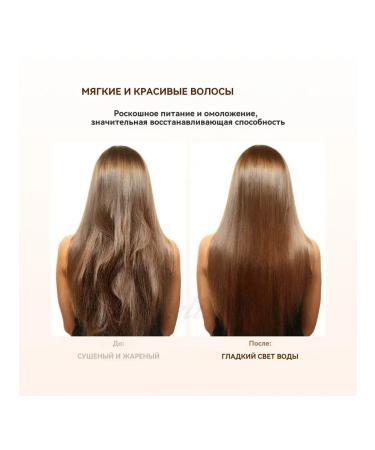 Professional hair dryer 5 in 1 - Buy Online on GoSupps.com