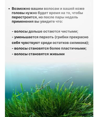 MUHADISDOCTOR Solid shampoo with spirulina - Buy Online on GoSupps.com
