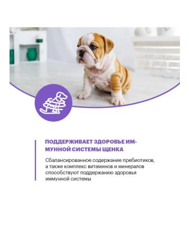 KARMY Feed for puppies up to 4 months Starter All Breeds 14 kg - Buy Online on GoSupps.com