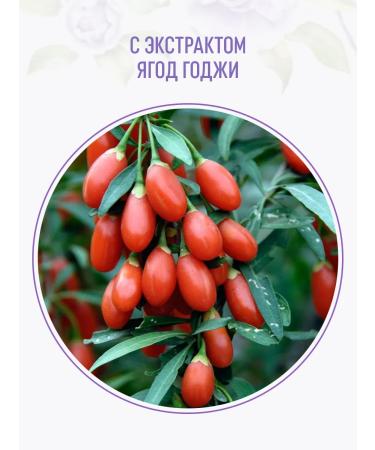 Syoss Color shampoo for dyed and highlighted hair 3pcs - Buy Online on GoSupps.com