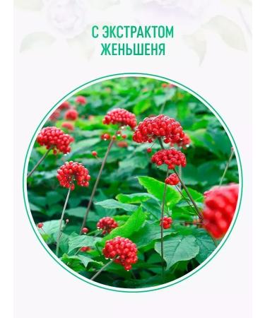 Syoss Shampoo + Balance Balm for all hair types - Buy Online on GoSupps.com