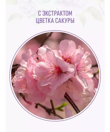 Syoss Salonplex shampoo for damaged hair 2pcs - Buy Online on GoSupps.com