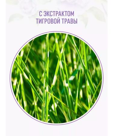 Syoss Full Hair 5 shampoo for thin hair without a volume of 2pcs - Buy Online on GoSupps.com