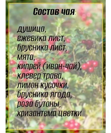 Teas of the Caucasus Lingonberry basket herbal tea 100 g - Buy Online on GoSupps.com