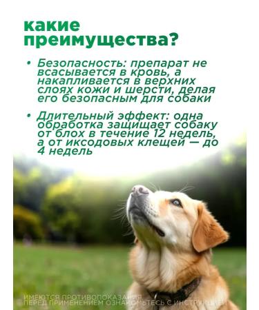 KRKA Phiprist Combo Drops for dogs 40-60 kg - Buy Online on GoSupps.com