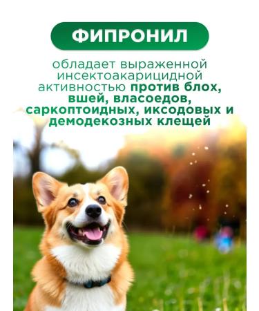 KRKA Phiprist Combo Drops for dogs 40-60 kg - Buy Online on GoSupps.com