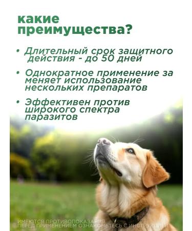 Astrapharm Complex Drops for dogs from 20 to 30 kg In-up complex - Buy Online on GoSupps.com