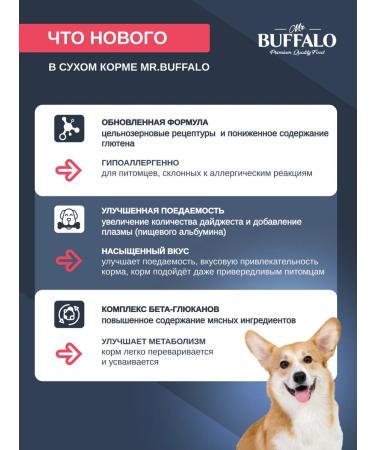 Dry food dry with salmon Mr. Buffalo 2kg - Buy Online on GoSupps.com