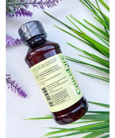 ChildLife Zinc for children Zinc Plus 118 ml - Buy Online on GoSupps.com