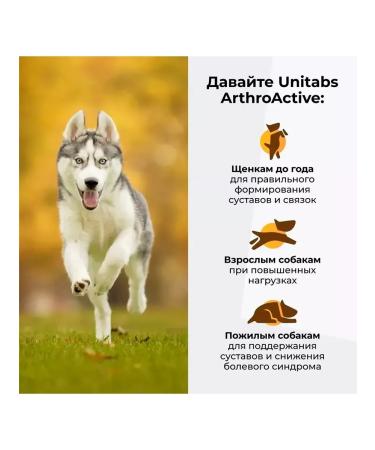 UNITABS Dog Vitamins Arthroactive - Buy Online on GoSupps.com