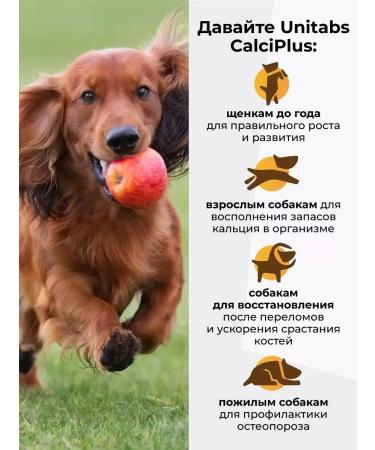 UNITABS Vitamins for teeth and bones for dogs and cats - Buy Online on GoSupps.com