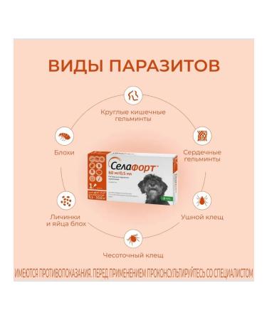 KRKA Sealess 60 mg for dogs weighing from 5.1 to 10 kg - Buy Online on GoSupps.com