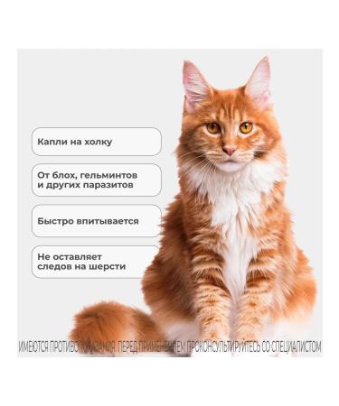 KRKA Sealess 60 mg for cats weighing 7.6-10 kg - Buy Online on GoSupps.com