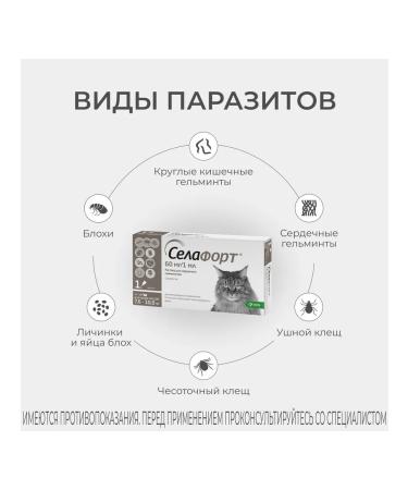 KRKA Sealess 60 mg for cats weighing 7.6-10 kg - Buy Online on GoSupps.com