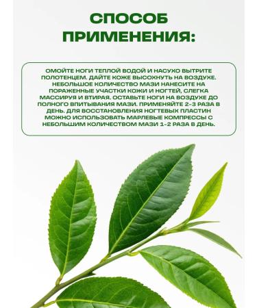 Honey and Jam Cream-masz antifungal 40 ml - Buy Online on GoSupps.com