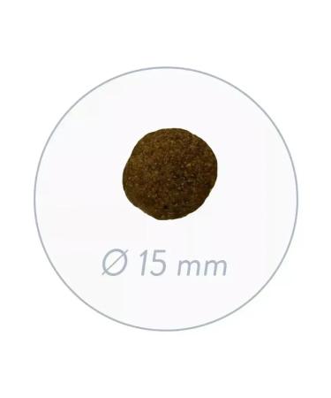 Bosch Petfood Bosch Sanabelle Adult Grande Dry Feed for Cats 2 kg - Buy Online on GoSupps.com