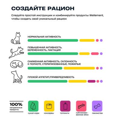 Wellement Wet food for adult dogs with tuna and lamb - Buy Online on GoSupps.com