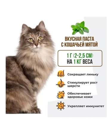 Paste for cats for skin and wool unitabs 120 ml - Buy Online on GoSupps.com