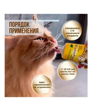 Paste for cats for skin and wool unitabs 120 ml - Buy Online on GoSupps.com