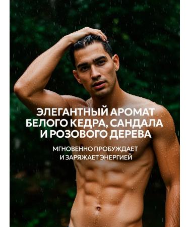 NICE by SEPTIVIT Hair shampoo men's Nice Mystic Wood 1l - Buy Online on GoSupps.com