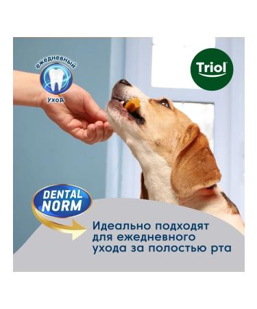 Triol Dog's treats "Chewing sticks" 150g - Buy Online on GoSupps.com