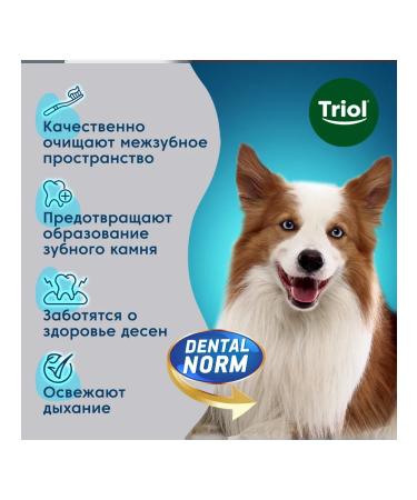 Triol Dog delicities "Chewing sticks with eucalyptus" 75g - Buy Online on GoSupps.com