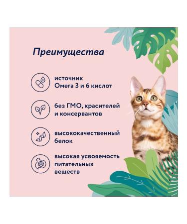 Florida Dry food for sterilized cats with turkey 2 pcs x 4 kg - Buy Online on GoSupps.com