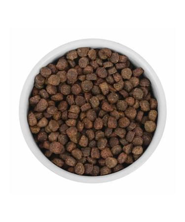 SAVITA Bezernary food for dogs of small breeds veal 2pcs* 4 kg - Buy Online on GoSupps.com