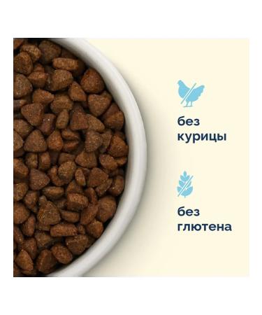 Advance Holistic Dry food for cats salmon and brown rice 2 pcs*2.5 kg - Buy Online on GoSupps.com