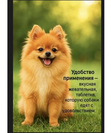 Zoetis Simparika 40-60 kg for dogs - Buy Online on GoSupps.com