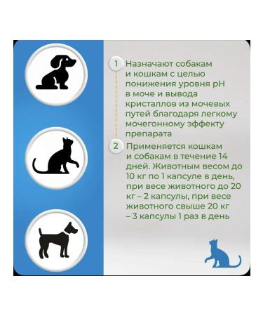 GIGI URSI URSI for cats and dogs 90 capsules - Buy Online on GoSupps.com