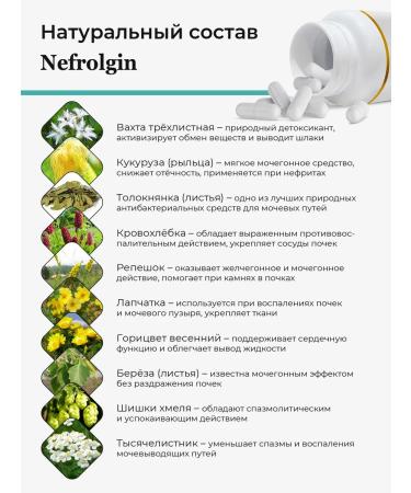 HAYAT Nephrolgin for kidneys - Buy Online on GoSupps.com