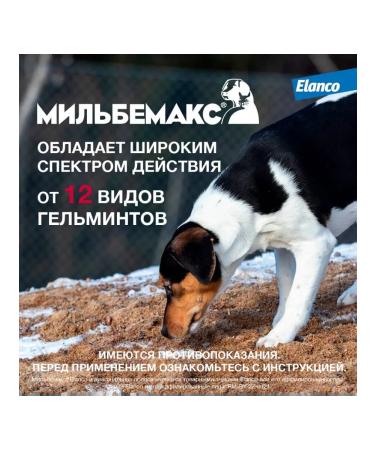 Elanco Milbemax helminth tablets for large dogs 2 pcs - Buy Online on GoSupps.com