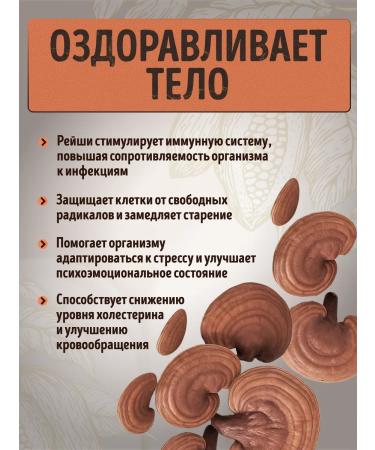 RawVeganCake Cocoa drink with Reishi - Buy Online on GoSupps.com