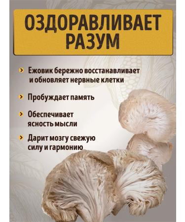 RawVeganCake Cocoa drink with a hedgehog - Buy Online on GoSupps.com