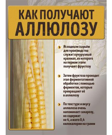 RawVeganCake Cocoa drink with a hedgehog - Buy Online on GoSupps.com