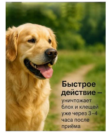 Simparika 120mg tablets from ticks and fleas for dogs 40 1-60 - Buy Online on GoSupps.com