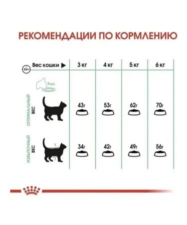 ROYAL CANIN Digestive 10 kg - Buy Online on GoSupps.com