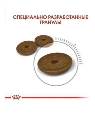 ROYAL CANIN Digestive 10 kg - Buy Online on GoSupps.com