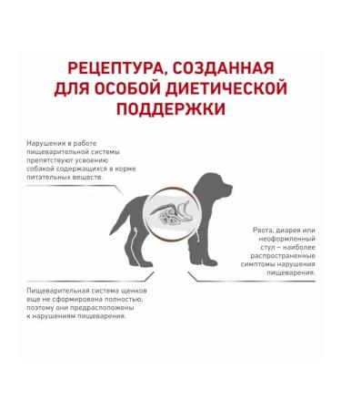 ROYAL CANIN GastroinTestinal Puppy 2.5kg - Buy Online on GoSupps.com