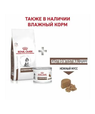 ROYAL CANIN GastroinTestinal Puppy 2.5kg - Buy Online on GoSupps.com