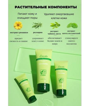 Zencolor Piling Skatka with Aloe Vera 2 pcs *200 g - Buy Online on GoSupps.com