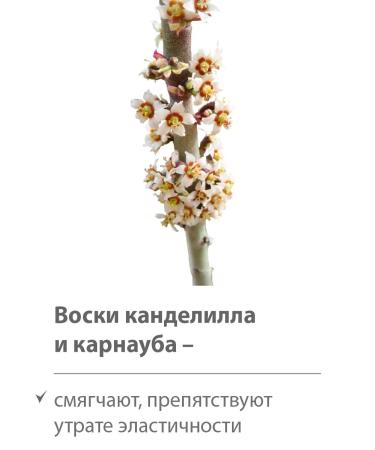 BELWEDER Lipstick -lip balm quintessence amber - color 118 - Buy Online on GoSupps.com