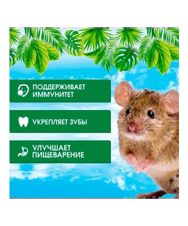 HAPPY JUNGLE Dry food for mice and sandstones 400 g 2 pcs - Buy Online on GoSupps.com