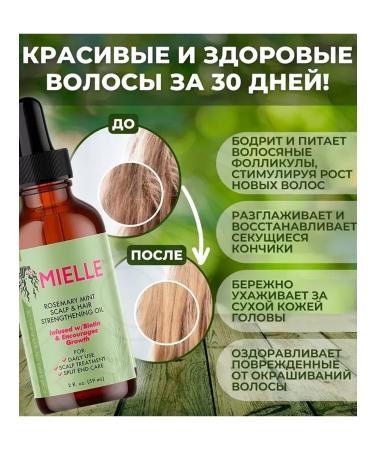 Mielle Miles Hair oil rosemary and mint Rosemary & Mint - Buy Online on GoSupps.com
