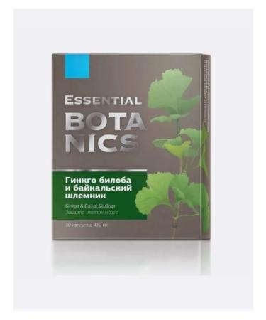 The power of Siberia is health Ginkgo Biloba and the Baikal helmet - Essential Botanics
