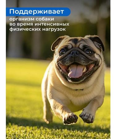 Horse-Bio Artropro fish collagen for dogs of all ages 600 g - Buy Online on GoSupps.com