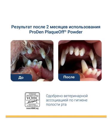 ProDen PlaqueOff Feed additive for dogs and cats 40 g - Buy Online on GoSupps.com