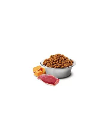 Farmina Dry food for adult cats N&D PUMPKIN duck 1.5 kg - Buy Online on GoSupps.com